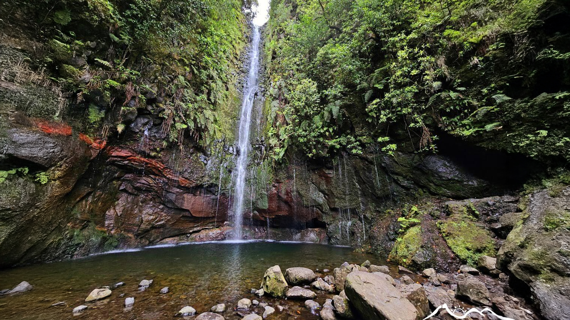 Wąska ścieżka przy lewadzie 25 Fontes w Rabaçal, w wilgotnym laurowym lesie.