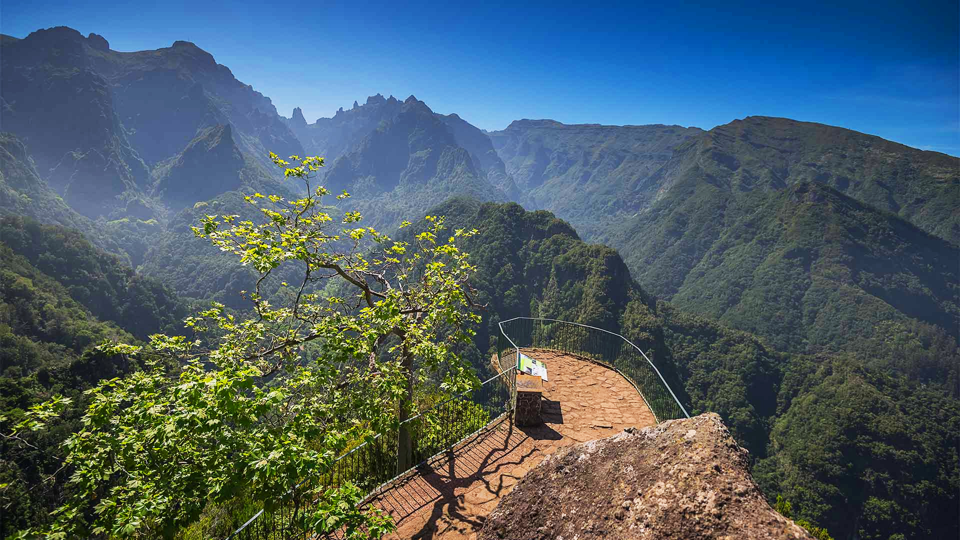 Punkt widokowy Balcões z balustradą nad zieloną doliną Ribeiro Frio.