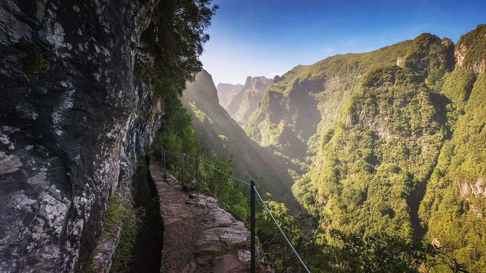Levada do Caldeirão Verde w laurisilvie; wąski szlak na klifie z balustradą i widokiem na wąwóz.