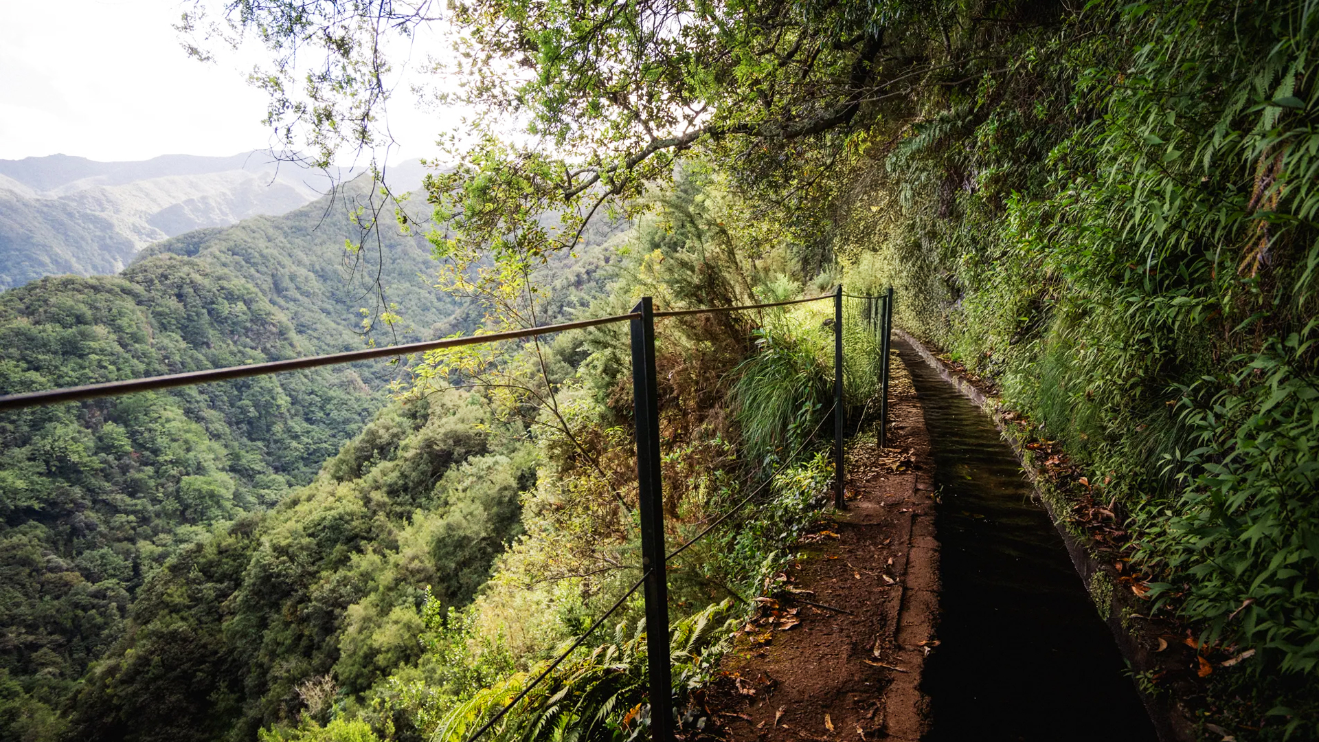 Levada do Rei PR18 wśród laurisilvy; wąski szlak przy kanale i widok na dolinę São Jorge.